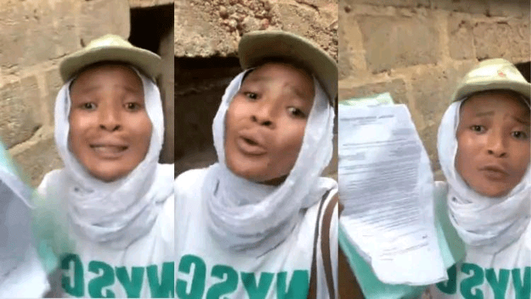 623066d81e99306b22bf620ba2fb3ce8