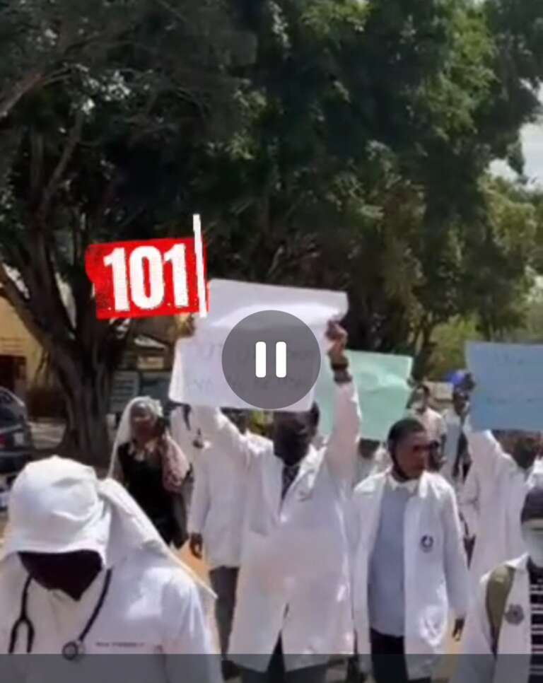 Screenshot_20251105_190912_WhatsAppBusiness