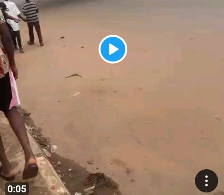 Screenshot_20251107_134603_X