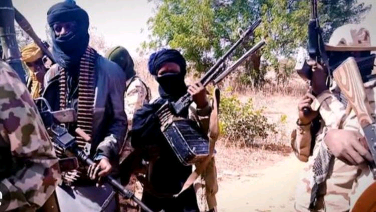 fb05b0cde823574ec5b55ec3340c576e