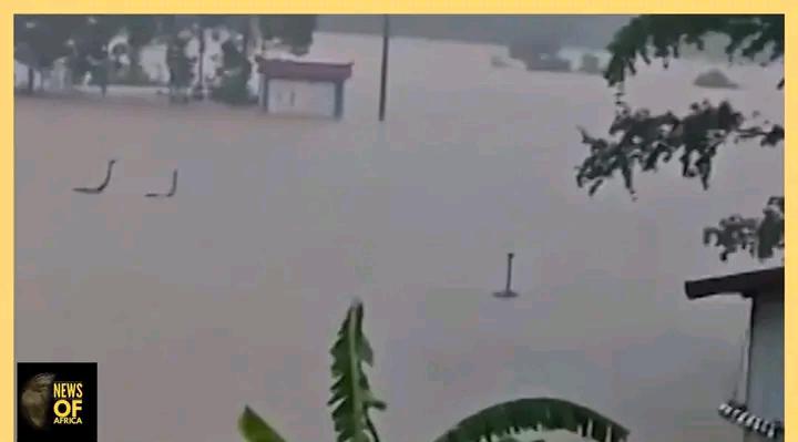 WA_1783630489006
